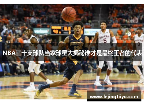 NBA三十支球队当家球星大揭秘谁才是最终王者的代表