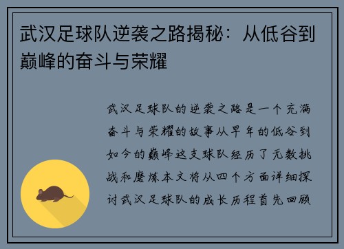 武汉足球队逆袭之路揭秘：从低谷到巅峰的奋斗与荣耀